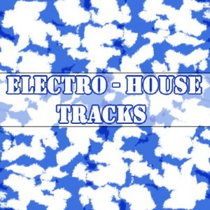  Electro-House Tracks (03.12.2009)