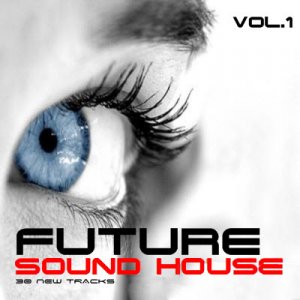 Future Sound House.Vol.1 (2010)