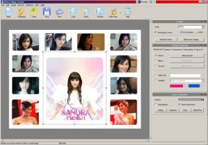 AMS Software Photo Collage Creator 3.51