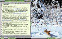 Loner-XP DreamLair 2010.5 Rus 