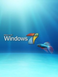 Windows 7 Ultimate RTM G-MOD ACTIVATED (x64/RUS/2010)