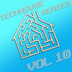 VA - TechHouse Series Vol. 10 (2010)