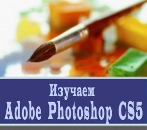 Adobe Photoshop CS5. Обучающий видеокурс (2010/RUS)