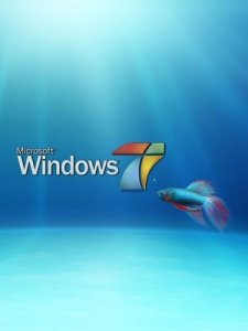 Windows 7 Ultimate 7600 Multi (x86) 05.12.2010 by Tonkopey