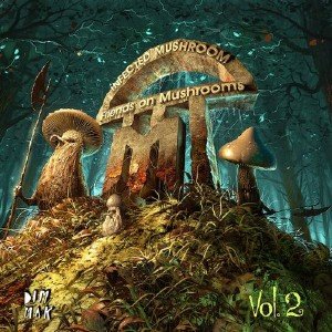 Infected Mushroom - Friends On Mushrooms Vol.2 (2013)